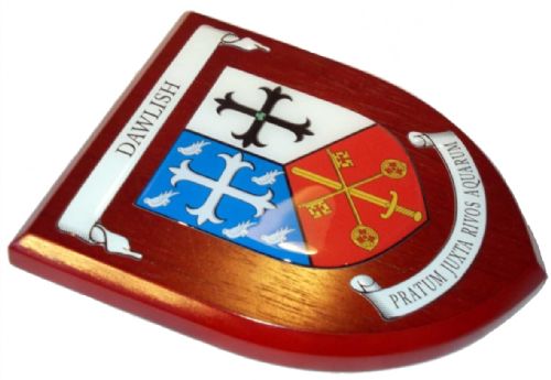 Presentation shield with shield shaped centrepiece and two seperate scrolls.